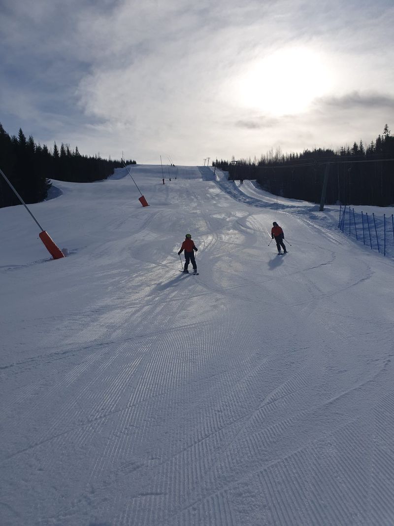 Twee skiërs op een brede, geprepareerde piste tussen de bossen, met de zon laag boven de helling