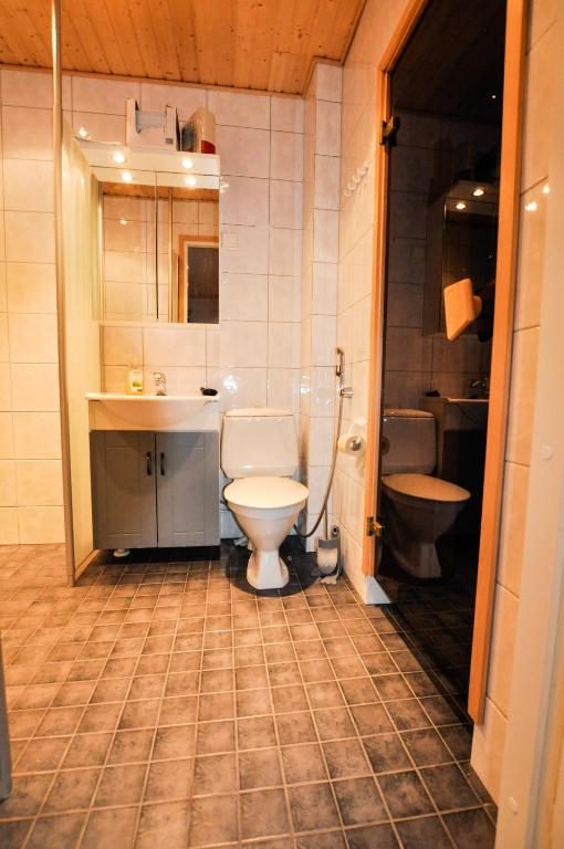 Badkamer met wastafel en toilet in het huisje