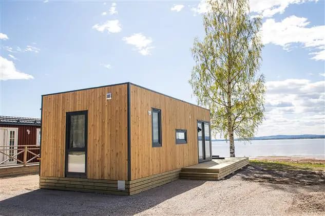 Houten huisje met een terras en een berk, aan het meer in de zomer