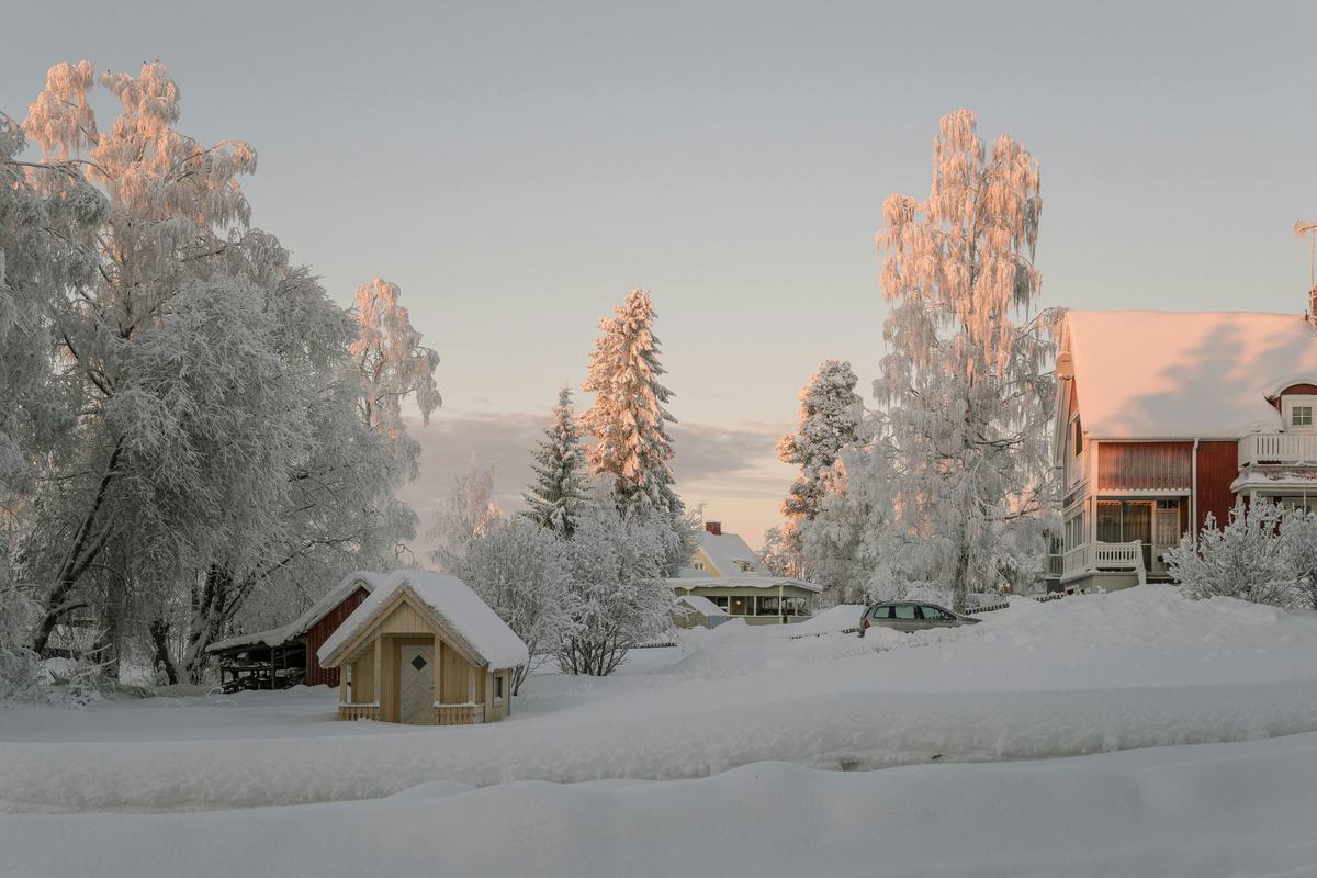 Besneeuwde huizen en berijpte bomen in het avondlicht